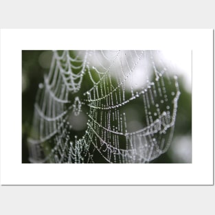 Mother Natures Web Pt. 1 Posters and Art